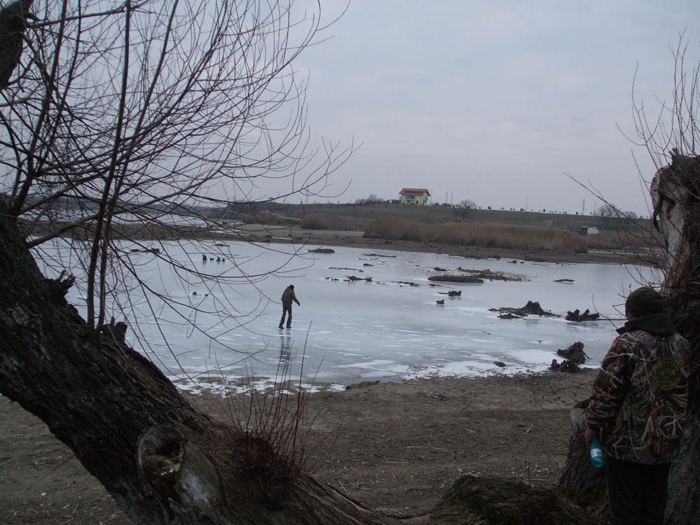 TANCABESTI SECAT - DSCF3436.jpg